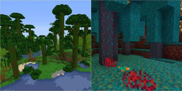 Minecraft - Biome